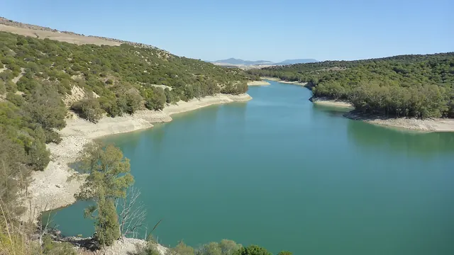 El embalse de Bornos sobre el río Guadalete, en la provincia de Cádiz, con las orillas arboladas.